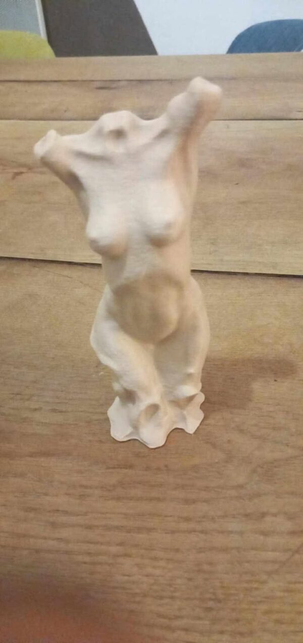 buste en 3d